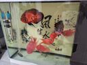 創(chuàng)寧魚缸過濾材料原礦濾材硝化細菌屋陶瓷環(huán)生化培菌球過濾器凈水濾材 原礦濾材【大方塊】1斤、帶網(wǎng)袋 曬單實拍圖