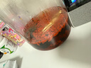 京東京造 密封罐 玻璃密封罐儲物罐泡酒瓶泡菜壇干貨密封罐5L 曬單實拍圖