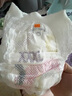babycare金山茶花嬰兒拉拉褲試用裝XL碼3片(12-17kg)尿不濕【新老混發(fā)】 曬單實(shí)拍圖