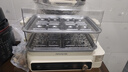 九陽(yáng)（Joyoung）電蒸鍋24L三層大容量家用多功能電蒸箱蒸螃蟹多用途蒸鍋全透明視窗不銹鋼蒸片GZ578【九陽(yáng)漫生活】 曬單實(shí)拍圖