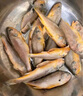 鮮到鮮得 鮮凍三去小黃魚1155g(50條左右) 生鮮 源頭直發(fā) 中秋 曬單實拍圖