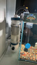 森森（SUNSUN）耀藍魚缸壁掛式過濾器YBF-500外置過濾桶【魚便分離+過濾升級】6W 曬單實拍圖