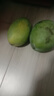 壹萌果蔬凱特芒芒果 當季現摘四川大芒果新鮮水果青芒果整箱送禮 5斤精品果【單果300g+】 凈4.5斤 曬單實(shí)拍圖