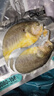 黃小漁寧德黃魚鲞400g/2條 三去大黃魚黃花魚生鮮 海鮮水產(chǎn)燒烤夜宵魚類 曬單實(shí)拍圖