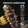 京東京造大連冷凍即食海參1000g 30-50只 固形物不低于70% 遼刺參 曬單實(shí)拍圖
