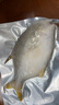 一蝦一世界 國產新鮮冷凍無冰衣白鯧魚/金鯧魚 清蒸香煎燒烤食材 新鮮捕撈 金鯧魚凈重400-500g*4條 曬單實拍圖