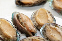 江船長(zhǎng) 冷凍鮑魚 凈重160g(18-22粒)袋裝 火鍋燒烤食材 海鮮生鮮 曬單實(shí)拍圖