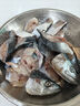 深海馬鮫魚(yú)新鮮冷凍正宗大鲅魚(yú)海鮮400-500克/條 馬鮫魚(yú)1條 曬單實(shí)拍圖