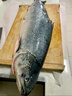 鮮承 三文魚(yú)刺身進(jìn)口整條生鮮挪威冰鮮三文魚(yú)肉(大西洋鮭)0度保鮮 冰鮮整條凈重 5kg -6kg分切請留言 曬單實(shí)拍圖
