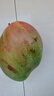 正宗玉芒芒果 肉厚甜心芒熱帶當(dāng)季新鮮水果整箱 帶箱4斤單果 300g+ 曬單實拍圖