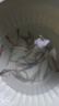 活泥鰍 戶(hù)外垂釣釣魚(yú)專(zhuān)用餌料飼料魚(yú)本地金鰍鮮活淡水烏龜龍魚(yú)飼料活體泥鰍批發(fā) 2-4厘米泥鰍50條 曬單實(shí)拍圖