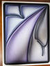 Apple/蘋(píng)果iPad Air 13英寸 M3芯片2025年款 平板電腦 (128GB WLAN版/學(xué)習辦公娛樂(lè ))深空灰色 曬單實(shí)拍圖