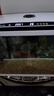 月光水母智能小型魚(yú)缸降溫水族箱冷水機制冷加熱恒溫機淡海水用自動(dòng)溫控 T2國行標準版100-240V(適合≤45L水體) 曬單實(shí)拍圖