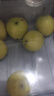 京鮮生 河北青翠蜜梨 凈重4.5斤 單果250g+ 青皇冠梨 生鮮水果 源頭直發(fā) 曬單實(shí)拍圖