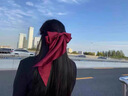 KASIYU 大蝴蝶結發(fā)夾酒紅色日系韓國學(xué)院綢緞韓版lolita彈簧夾發(fā)飾發(fā)夾 紅色 曬單實(shí)拍圖