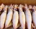 愛(ài)唯溫妮 海兔子滿(mǎn)籽 帶籽籽烏鮮活熟凍筆管魚(yú)大墨魚(yú)仔軟足類(lèi)海鮮火鍋燒烤 海兔子500g*2袋 1kg(凈重) 曬單實(shí)拍圖