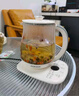 奧克斯養生壺燉煮壺一體煮茶器煮茶壺家用燒水壺玻璃恒溫水壺迷你辦公室用二合一宿舍保溫全自動(dòng)2025新款 【食品級304】高硼硅玻璃 1.5L 曬單實(shí)拍圖