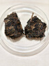 涇渭茯茶黑茶 中秋節禮品 咸陽(yáng)茯茶 陜西特產(chǎn) 金花茯磚茶 經(jīng)典1368 900g 曬單實(shí)拍圖