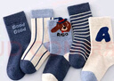 棉奇熊襪子男童秋冬棉質(zhì)襪兒童中筒襪男孩中大童棉襪5雙-EW17-3-5 曬單實(shí)拍圖