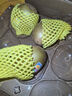 佳沛（zespri）新西蘭奇異果8個(gè)裝單果123-135g金果4粒+綠果4粒源頭直發(fā)一件包郵 曬單實(shí)拍圖