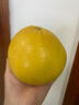 南步福建平和黃金葡萄柚 爆汁黃金柚子蜜柚榨汁橙西柚子新鮮酸甜水果 9斤 優(yōu)選花皮果【單果200g+】 曬單實(shí)拍圖
