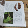新編中草藥彩色圖譜（第三版） 曬單實(shí)拍圖