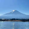 京地達水蜜桃平谷水蜜桃中秋新鮮水果禮盒12枚凈重6斤單果250g+源頭直發(fā) 曬單實(shí)拍圖