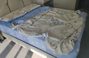 安睡寶（SOMERELLE）100%全棉床上四件套純棉 床單款床上用品被套200*230cm1.5/1.8米 曬單實(shí)拍圖