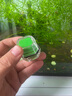 哆維特魚(yú)缸刷磁力刷迷你強磁雙面清理刷子清洗玻璃擦清潔刮藻刀水草缸 水晶強磁-小號生機綠（10-40cm缸用） 曬單實(shí)拍圖