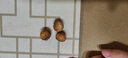 西域美農(nóng) 無(wú)花果干500g 0硫熏0漂白無(wú)花果 可做孕婦零食即食泡水滋補(bǔ)煲湯 曬單實(shí)拍圖