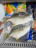 翔泰海南深海金鯧魚(yú)700g 2條 火鍋 生鮮魚(yú)類(lèi) BAP認證 海鮮水產(chǎn) 中秋 曬單實(shí)拍圖