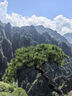 悍途（HUMTTO）夏季網(wǎng)面透氣登山鞋大孔透氣網(wǎng)眼男士戶外休閑徒步鞋 深灰桔色 41 曬單實(shí)拍圖