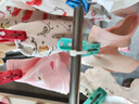 俞兆林女童內褲平角棉質(zhì)短褲兒童四角褲女寶寶小女孩底褲 100 曬單實(shí)拍圖