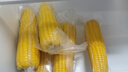佳農(nóng) 內(nèi)蒙黃糯玉米棒8袋*220g 軟糯香甜 真空鎖鮮 源頭直發(fā) 禮盒包郵 曬單實(shí)拍圖
