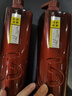 沙宣護(hù)發(fā)素修護(hù)水養(yǎng)750g氨基酸修護(hù)潤(rùn)發(fā)護(hù)發(fā)乳大紅瓶男士女士通用 曬單實(shí)拍圖
