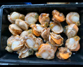 【新貨上市】特大號扇貝肉純野生海捕新鮮扇貝冷凍海鮮帶冰保鮮 扇貝肉400g*4 曬單實(shí)拍圖