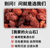 瘋狂水草（FKSC）紅色火山石魚缸專用養(yǎng)烏龜火山巖顆粒魚缸造景底砂沙石可配溪流石 曬單實拍圖