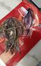 北海印象【北海產(chǎn)地】墨魚(yú)干 M1 500g淡曬干墨魚(yú)煲湯滋補(bǔ)干貨源頭直發(fā)包郵 曬單實(shí)拍圖