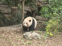 優(yōu)衣庫男裝/男女同款防風(fēng)背心休閑馬甲機能外套防潑水戶(hù)外484335 09 黑色 M /170/92A 曬單實(shí)拍圖