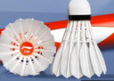 李寧（LI-NING）羽毛球G200鵝毛球訓練用球耐打飛行穩(wěn)定一筒12只裝77速 曬單實拍圖