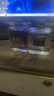 橘滋（Juicy Couture）臟話男士淡香水100ml 辛辣木質(zhì)調(diào) 生日禮物男送朋友自營 曬單實拍圖
