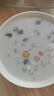 水?huà)寢屘﹪M(jìn)口 白西米100g嘗鮮楊枝甘露奶茶甜品配料椰漿西米露水果撈 曬單實(shí)拍圖