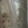 灣仔碼頭大白菜豬肉水餃1800g90只早餐食品速食面點(diǎn)生鮮速凍餃子 曬單實(shí)拍圖
