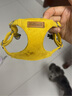 petlimit小狗狗牽引繩背心式遛狗繩鏈子小型犬泰迪胸背帶寵物用品 黃色XXS 曬單實(shí)拍圖