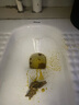 舒爾佳舒爾佳 奧利司他膠囊120mg*7粒 減脂減重 減肥藥 塑身排油瘦身 治療肥胖 曬單實(shí)拍圖