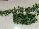 花沃里仿真藤條綠蘿葉過(guò)膠 綠植假花裝飾綠葉年會(huì)婚慶吊頂藤蔓99片5條裝 曬單實(shí)拍圖