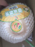 越南進(jìn)口椰青單果850g以上奧英 當(dāng)季新鮮水果 贈開椰器和吸管 1粒嘗鮮 單果850g+ 曬單實(shí)拍圖