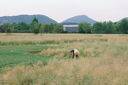 松下S5M2（20-60mm+50mm）（Panasonic）S5二代 全畫(huà)幅微單相機 約2420萬(wàn)有效像素 新相位混合對焦 曬單實(shí)拍圖