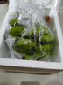 廣東高山香蕉當(dāng)季新鮮生鮮水果薄皮青蕉現(xiàn)摘現(xiàn)發(fā)水果源頭產(chǎn)地直發(fā) 【9斤裝】廣東高山甜香蕉 曬單實(shí)拍圖