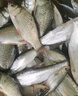 臻佑（Grsaed）競澤3.6米魚竿超輕超硬碳素釣魚竿手竿臺釣竿鯉魚桿鯽魚竿漁具 曬單實拍圖